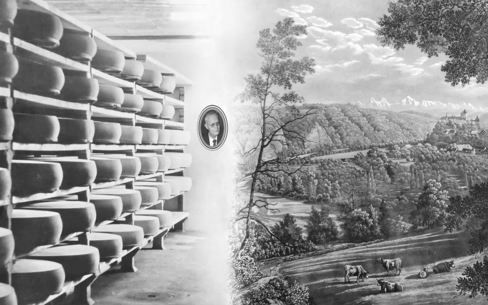 Käselager mit Emmentaler Laiben und historische Ansicht von Burgdorf mit Alpenkette